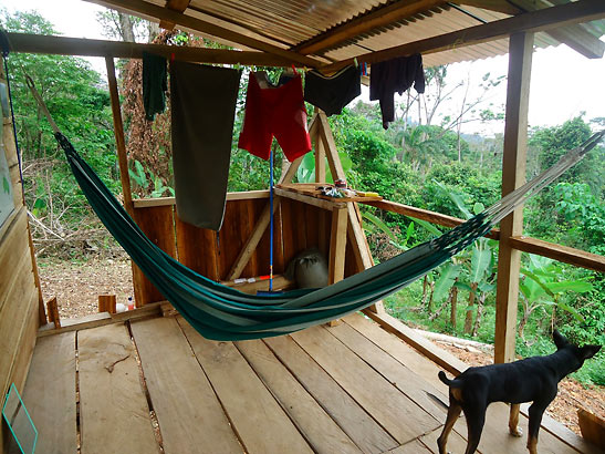 rest area at writer's house with hammock, clothes line and writer's dog