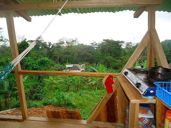 view of surrounding area from writer's kitchen