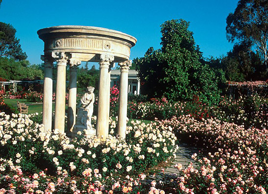 the Rose Garden