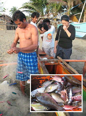 fisherman bringing in his catch at the beach; inset: part of his haul