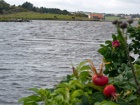 Stokka lake in Stavanger