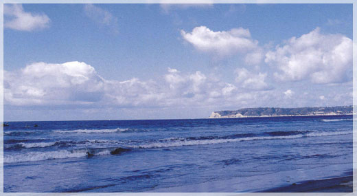 the beach at the Del Coronado