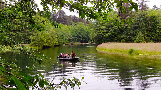 visitors on a boat tour at Sitka National Park