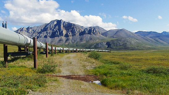 the Alaskan Pipeline
