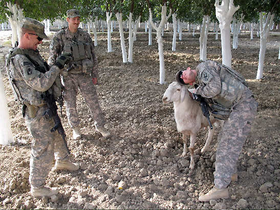 Georgia National Guards troops playing around with a local sheep