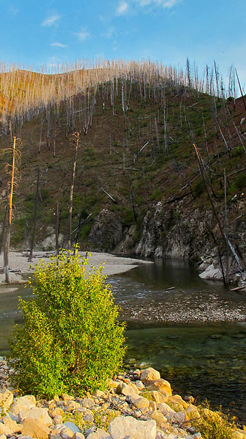 emerald waters of the Middle Fork Boise River amidst burned landscape