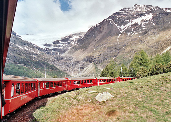 Bernina Express train entering a forest with snow-capped mountains in the background