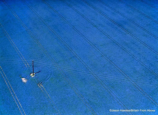 a field of flax in Buckinghamshire