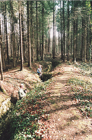 well-preserved World War 1 German slit trench