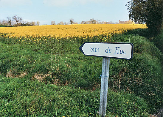 faded sign pointing to Pointe du Hoc with fields of yellow flowers in the background