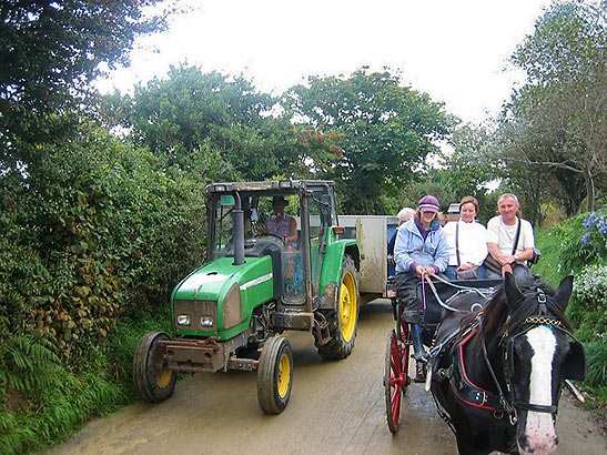 Sark visitors on a horse and buggy with a tractor on the left