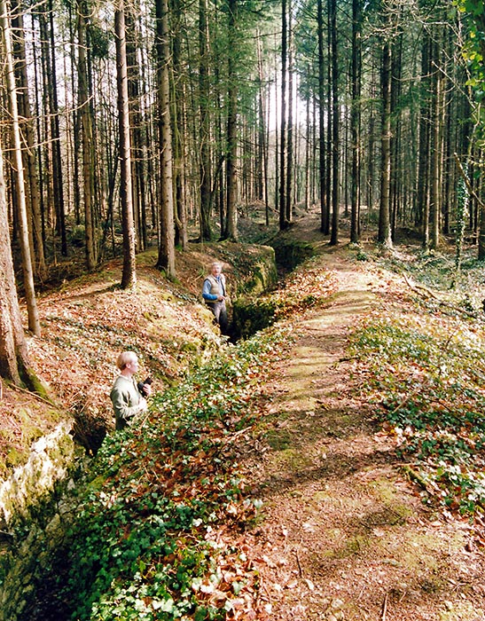 World War 1 German trench in Lorraine, France