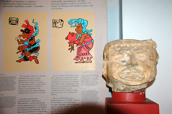 drawing of Mayan goddess Ixchel at center, museum