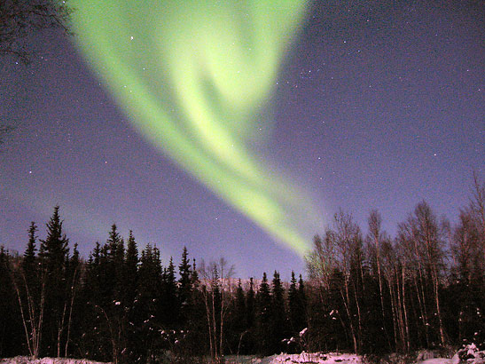 the aurora borealis on the night sky near Fairbanks