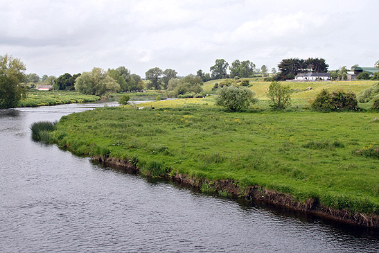 a stream inside the grounds of the Malahide Castle, Ireland