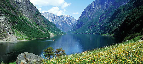 the Nryfjord, an arm of the Sognefjord