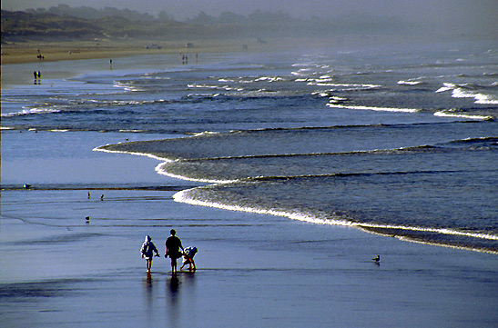 strollers along beach, Pismo Beach