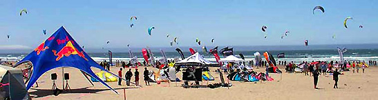 flying beach kites along seashore