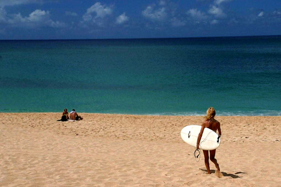 surfers at Waimea Bay