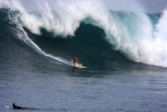 Bobby Davison riding a wave