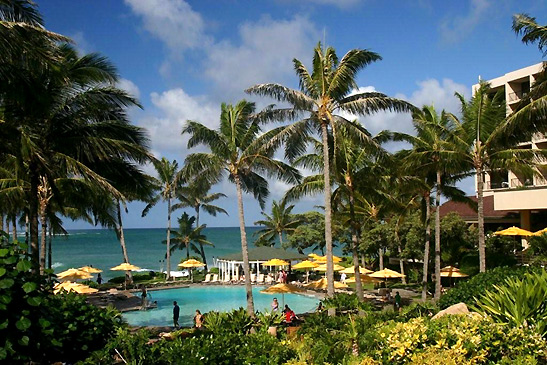 the Turtle Bay Resort