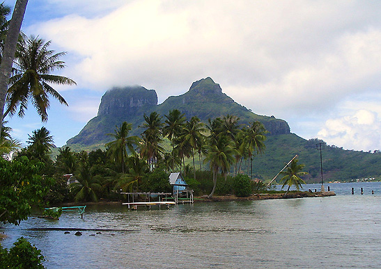 palm-fringed beach with Mt. Otemanu in the background, Bora-Bora, Tahiti