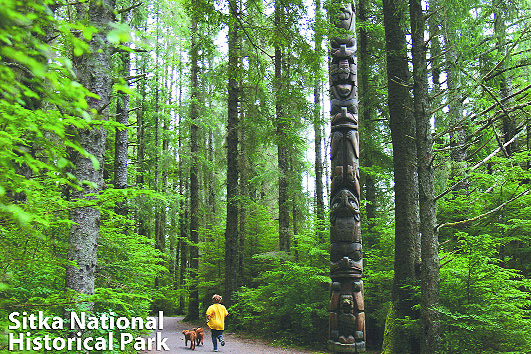 jogger with dogs at a forest, Sitka National Historic Park