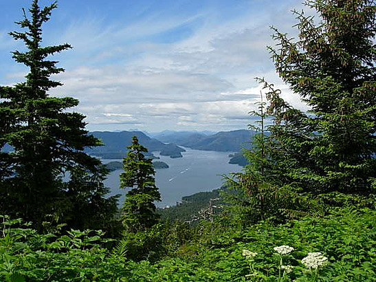 a view of Sitka Sound