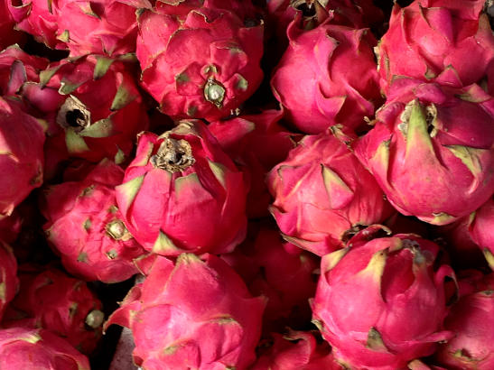 dragon fruit at Talard Plu