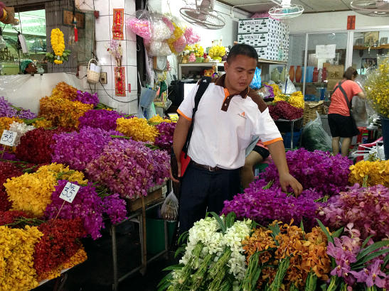 lookingfor flowers at a flower market stall