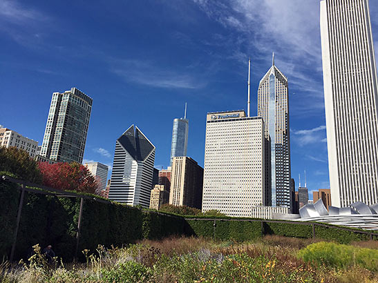 the Lurie Garden