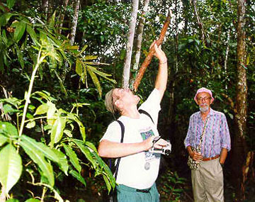 visitor drinkign from a water vine, the Amazon, Peru