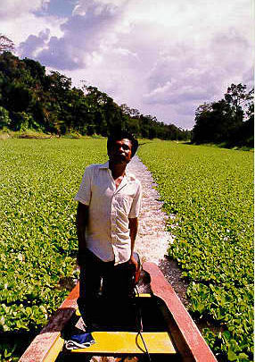 Shaman Talexio at the helm of a dugout canoe at the Yanayacu River