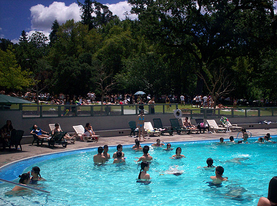 another mineral pool at Morton's Warm Springs Resort with trees in the background