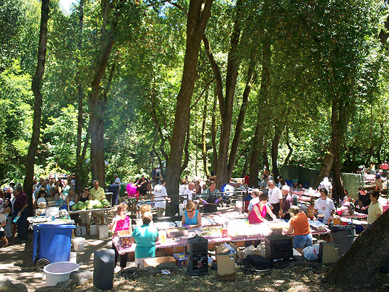 picnic tables and barbecue pits