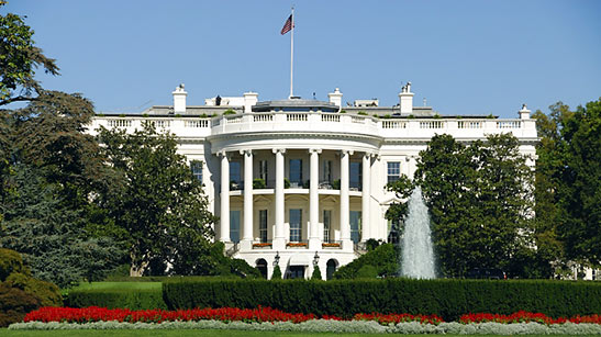 the White House