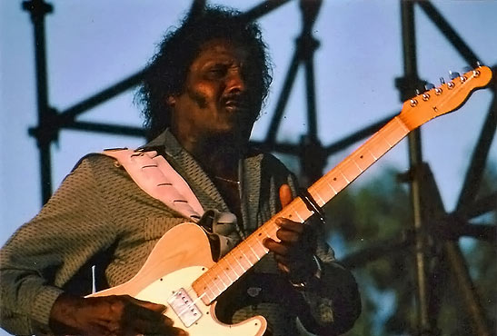 Albert Collins performing