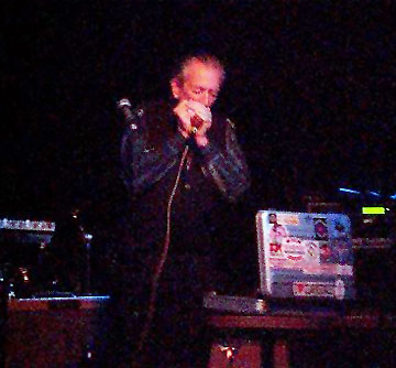 Charlie Musselwhite playing the harp in a concert