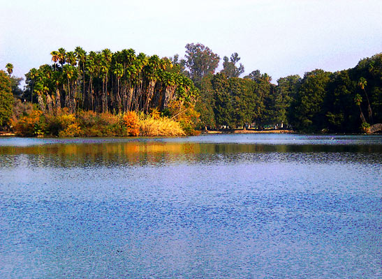 Lake Evans in Fairmount Park, Riverside, CA