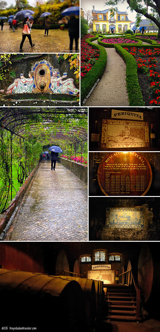 scenes at the Jos Maria da Fonseca Estate winery