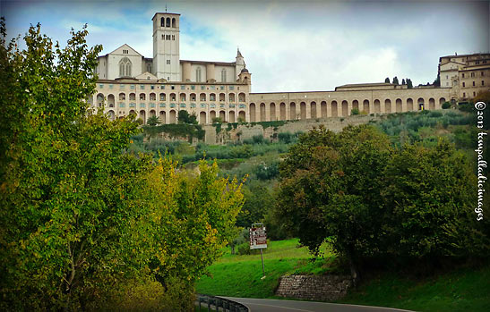 the Basilica of St. Francis of Assisi