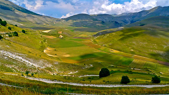 picturesque panoramic views of the lentil fields