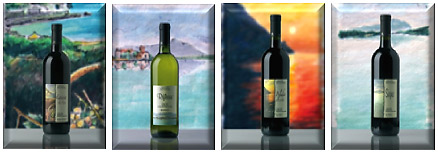 a sampling of the Selezione Acquerelli wines