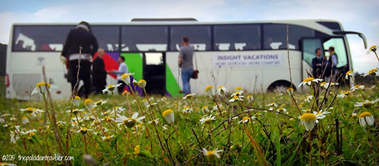 Insight Vacations bus