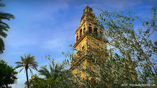 view of the Mezquita-Catedral from the Courtyard of the Oranges