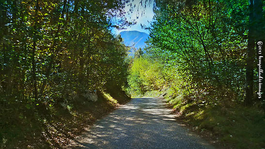 roughly paved road leading to the sanctuary