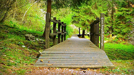 footbridge in Deggia