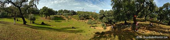 grasslands inside the Nature Park of Aracena