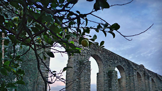 the Aqueduto da gua de Prata (Aqueduct of Silver Water)