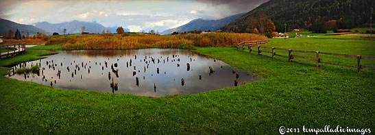 remains of ancient wooden stilts driven into the Lago Carera